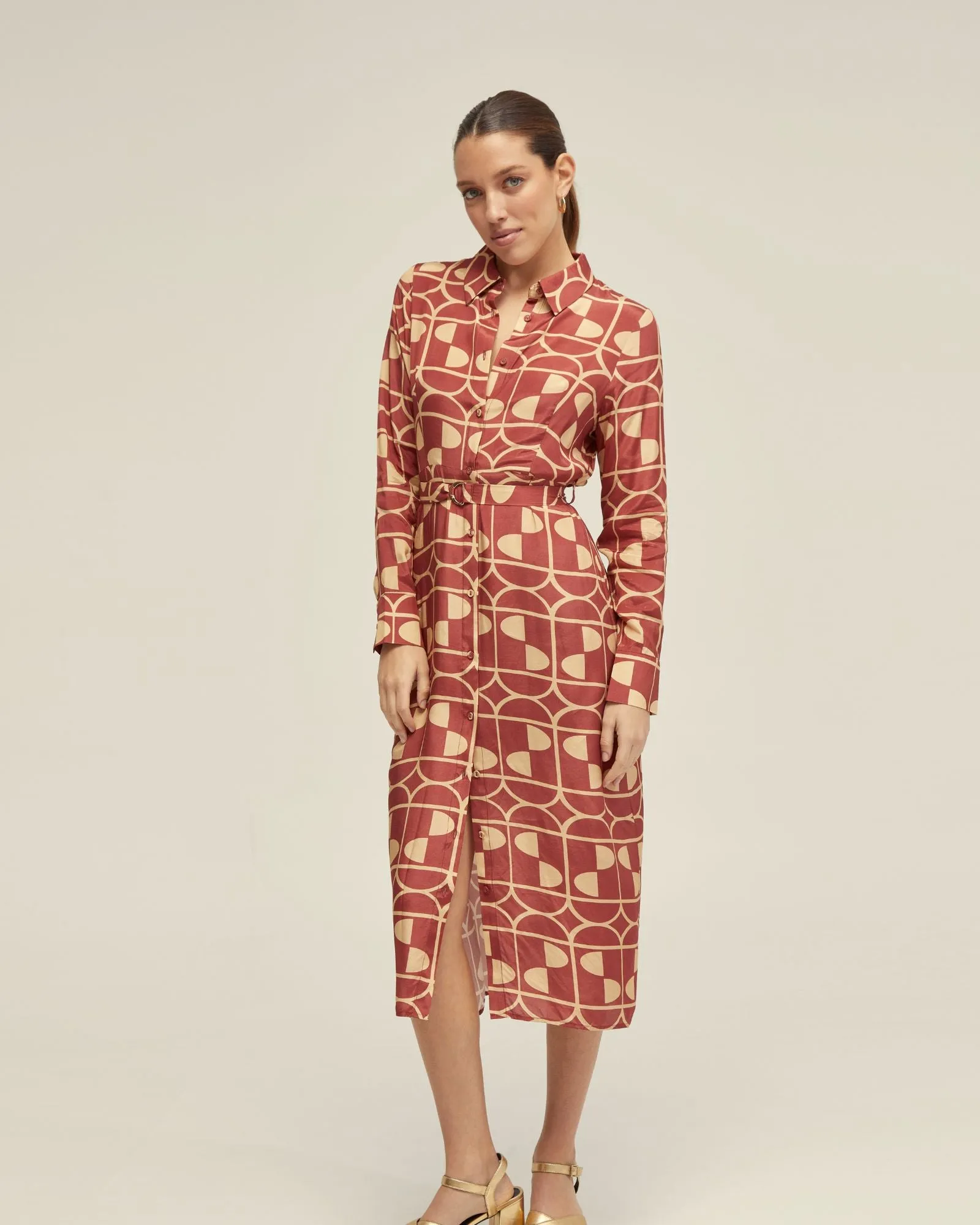 Dianne Geo Print Shirt Dress