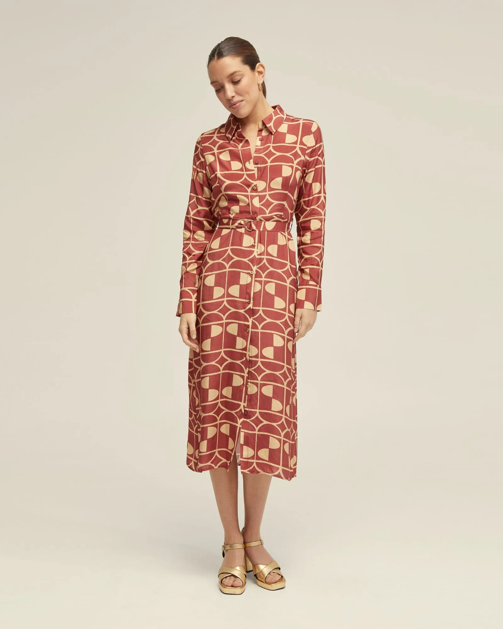 Dianne Geo Print Shirt Dress