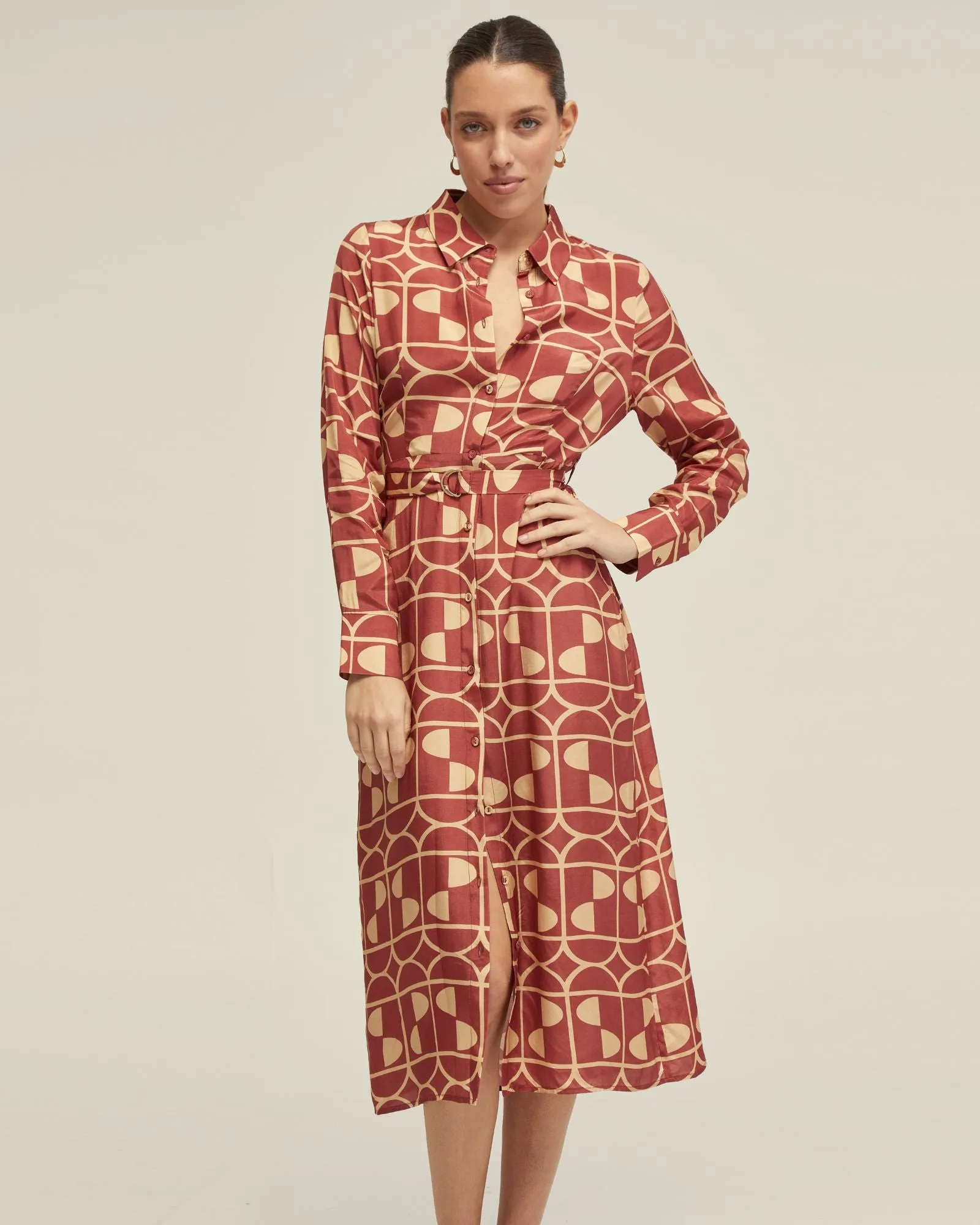 Dianne Geo Print Shirt Dress