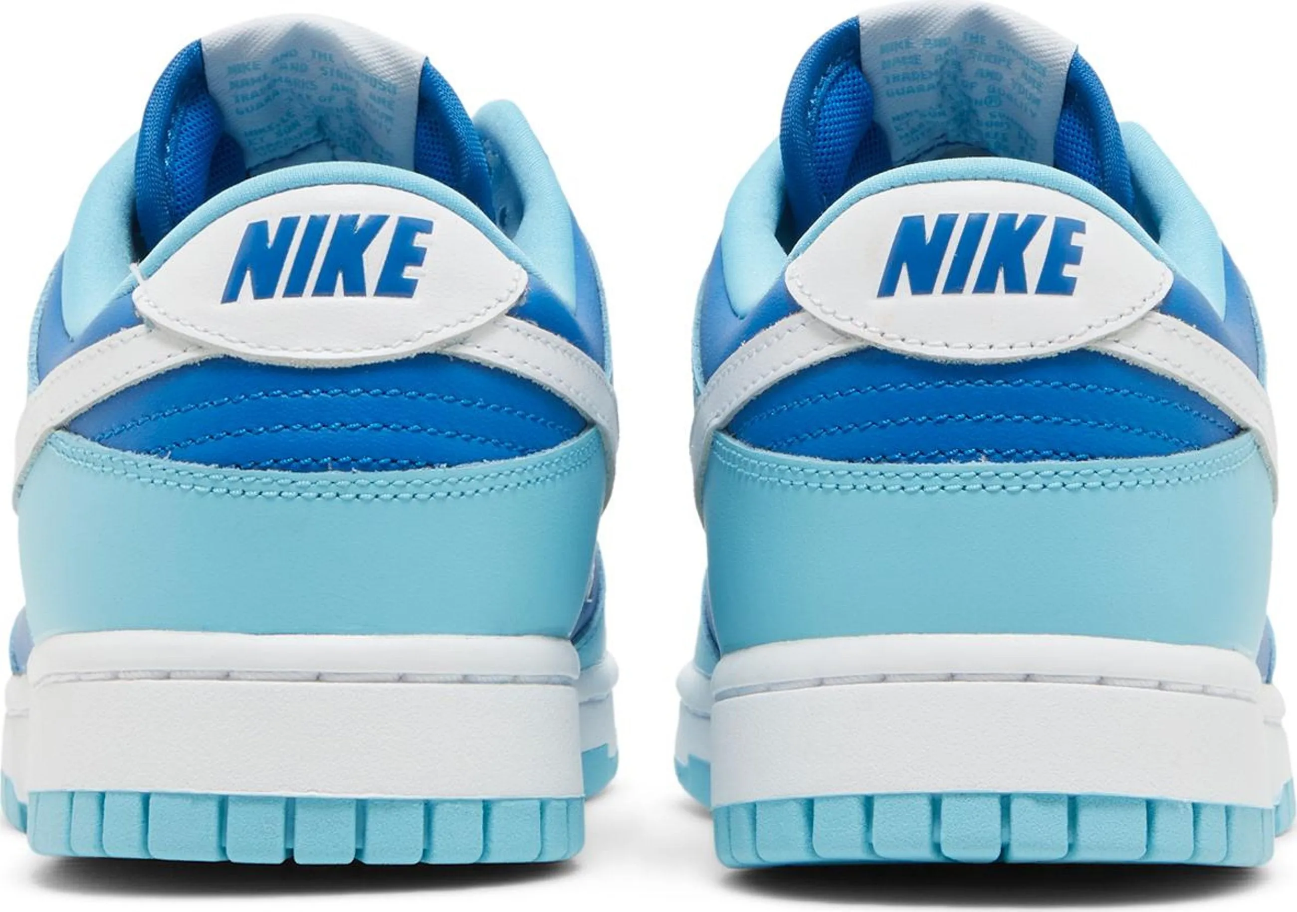 Dunk Low Retro 'Argon'