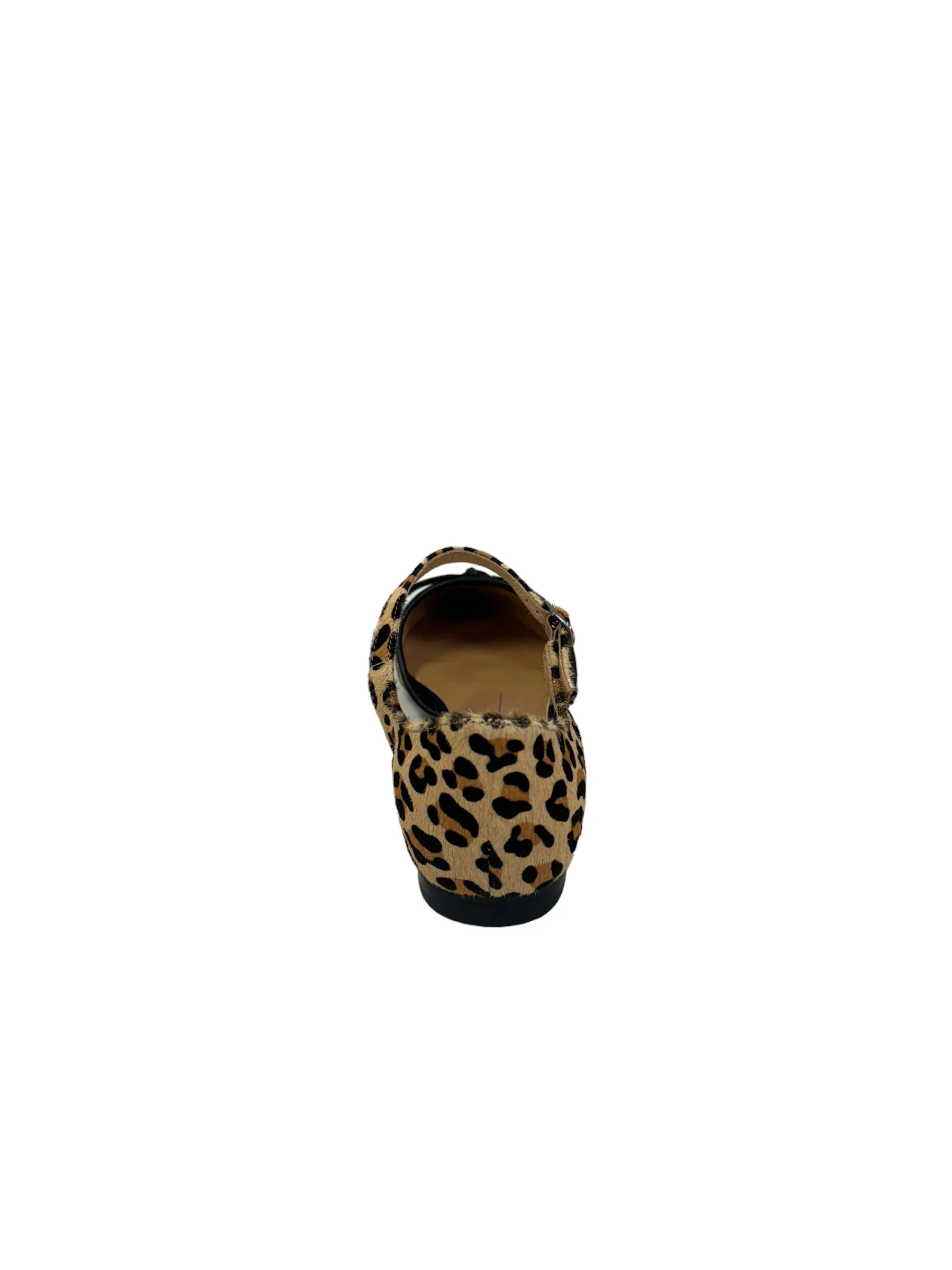 Gemila - Leopard
