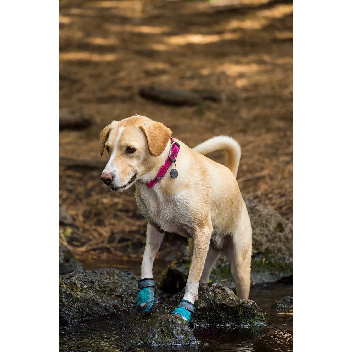 Ruffwear® | Grip Trex™ All-Terrain Dog Boots
