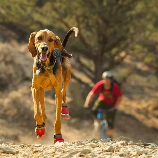 Ruffwear Grip Trex Dog Boots - PAIRS